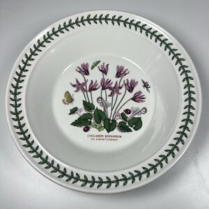 PORTMEIRION Botanic Garden Rimmed Dinner Bowl 8.5" Ivy Leaved Cyclamen - A